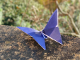 The Monkton Butterfly Effect The Monkton Butterfly Effect